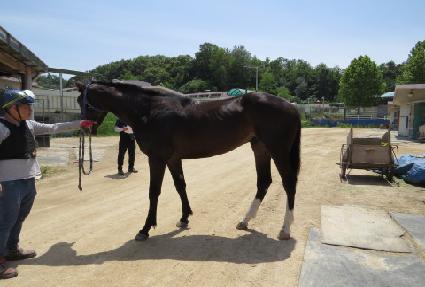 ����Ʈ��ȭ ����