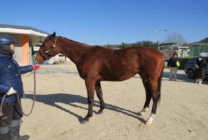 ���ǵ�� ����