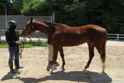 ��ġ���� ����