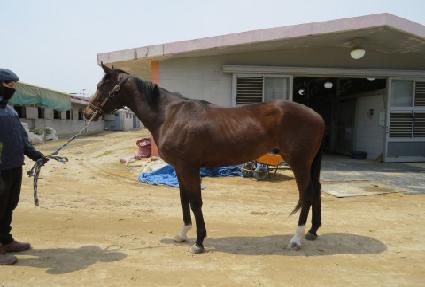 �Ƹ𽺸� ����