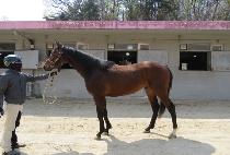 ��������Ʈ (WHIZ PERFECT) ����