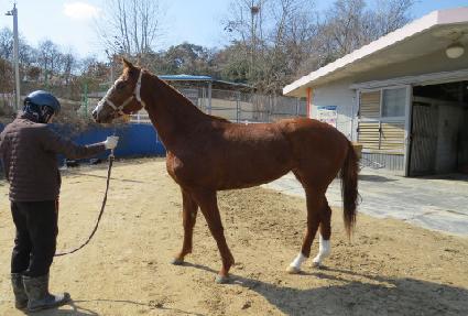 ���̿����� ����