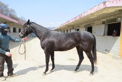 ���Ÿ ����