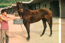 �ݰ��� (KEUM KANG DAE) ����