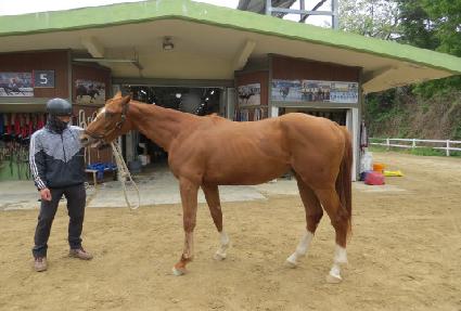 ����Ƽ����ŷ ����