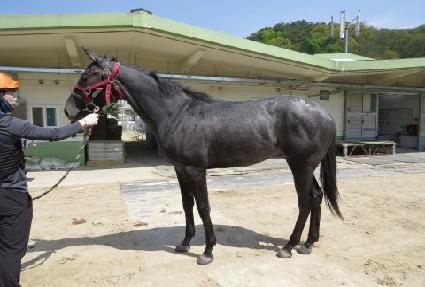 ����ǿ��� ����