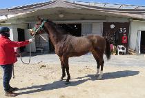 ĳ��ê (CAROLCHAT) ����