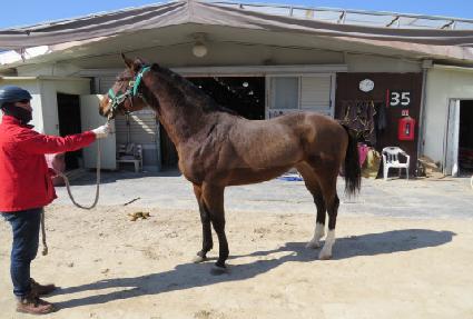 ĳ��ê ����