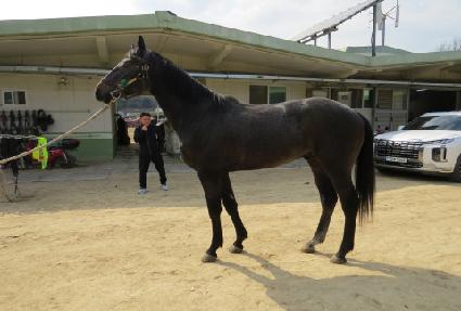 �Ƹ����� ����