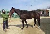 �����ϵ��� (SMILE DAY) ����