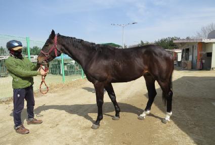 �����ϵ��� ����