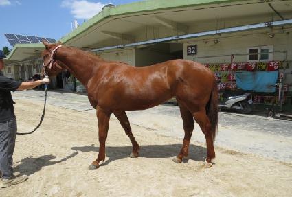 ����ζ��̾� ����