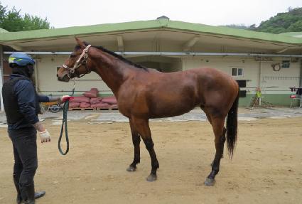 �����ǻ�� ����