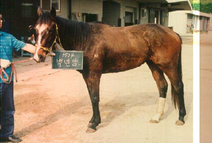 ���� ����