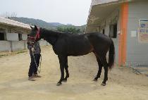 ����Ƽ�ڵ� (MIGHTY CODE) ����