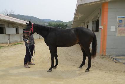 ����Ƽ�ڵ� ����