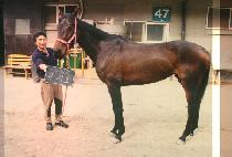 ������ (MO JI PO) ����