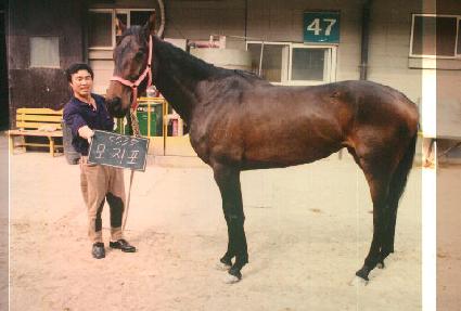 ������ ����