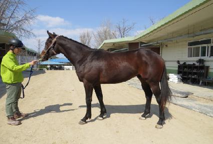 ���̸Ӵ׽� ����