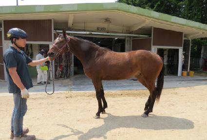 ���Ӵ��� ����