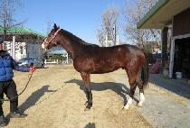 ���̿����̾� (MY EMPIRE) ����