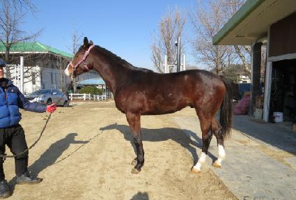 ���̿����̾� ����