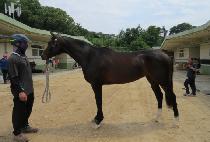 ����ǳ (SUN DOLPUNG) ����