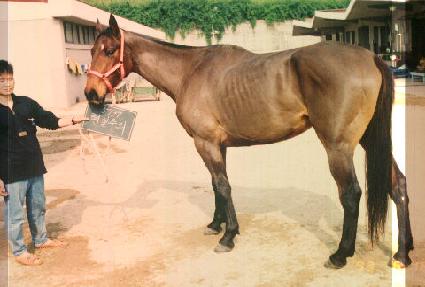 �������� ����