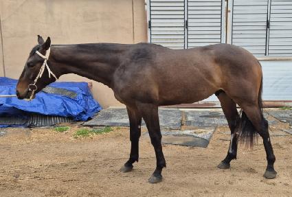 �ٶ���� ����