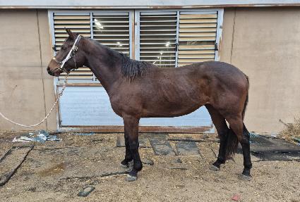 õ���ǹݼ� ����