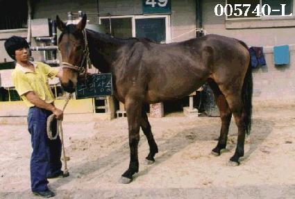 ������� ����