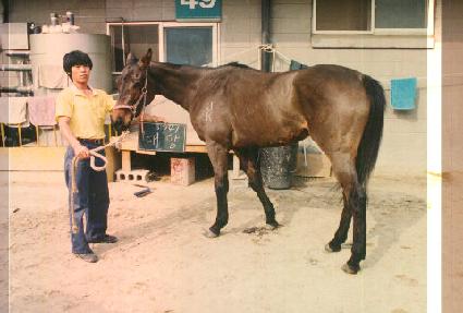 ��� ����