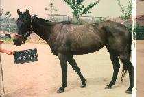 ���ϰ��� (JAE IL GWAN MUN) ����