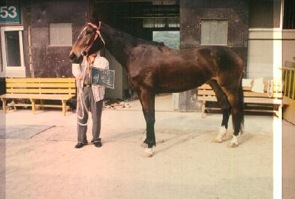 ����� ����