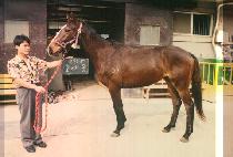 ȣ�¿� (HO TAE WANG) ����