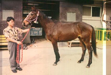 ȣ�¿� ����