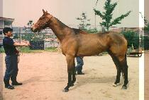 ����õ (MAN SU CHEUN) ����