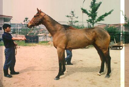 ����õ ����