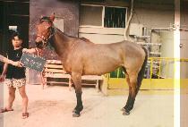 ���л� (CHANG HAK SAENG) ����