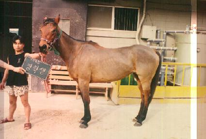 ���л� ����