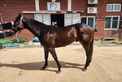 ���Ļ� ����