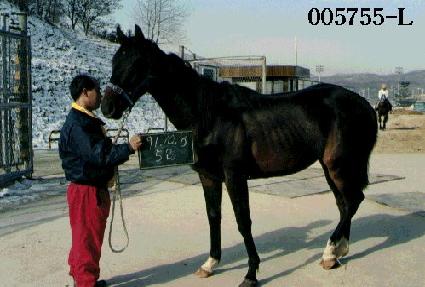 �뿪�� ����