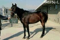 ����� (JANG EUM HAN) ����