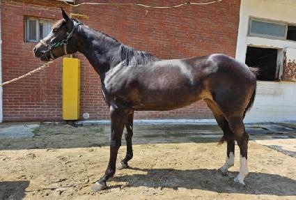 ��Ÿ��ƽ��� ����