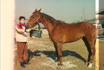 ��Ÿ�� (GOOD TIME) ����