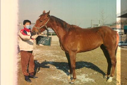 ��Ÿ�� ����