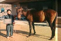 ��ǳ (JEUNG PUNG) ����