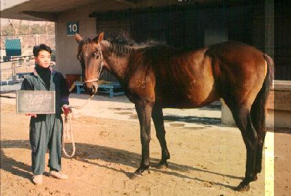 ��ǳ ����