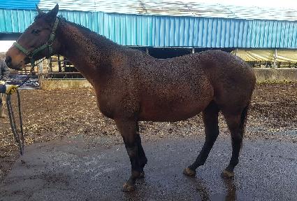 �÷��������̽� ����