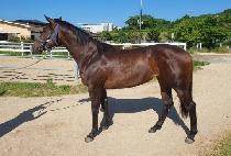 �ε���Ŭ���� (ROAD TO CLEO) ����